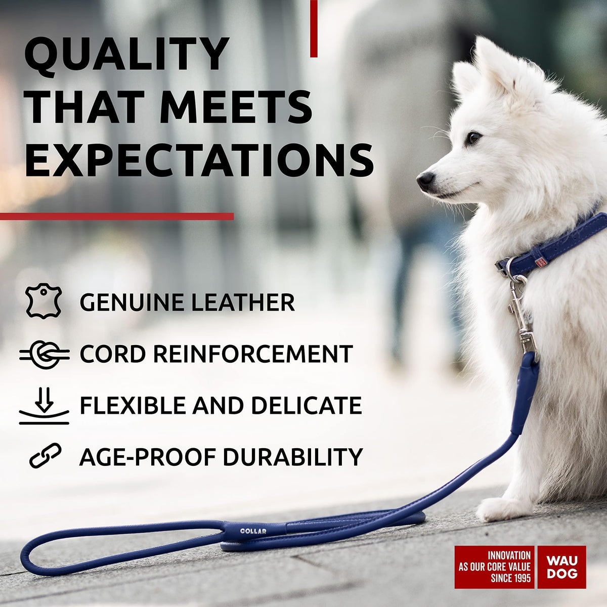 Rolled Leather Dog Leash 4 ft x 0.3 in All Sizes Purple