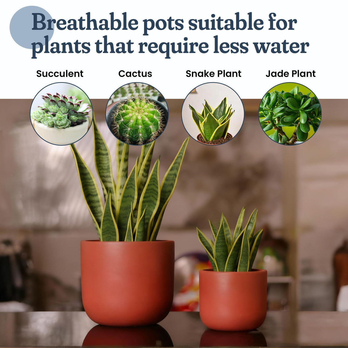 4 Inch and 6 Inch Terracotta Pot Set of 2 Ceramic Planter Clay Pots for Indoor Plants Succulent Planter with Drainage Hole and Mesh Net DIY Craft Garden & Home Decor