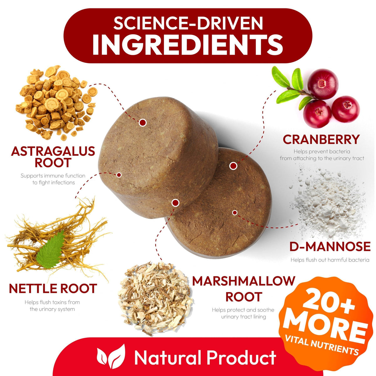 Dog UTI Treatment Cranberry Multivitamin Supplement