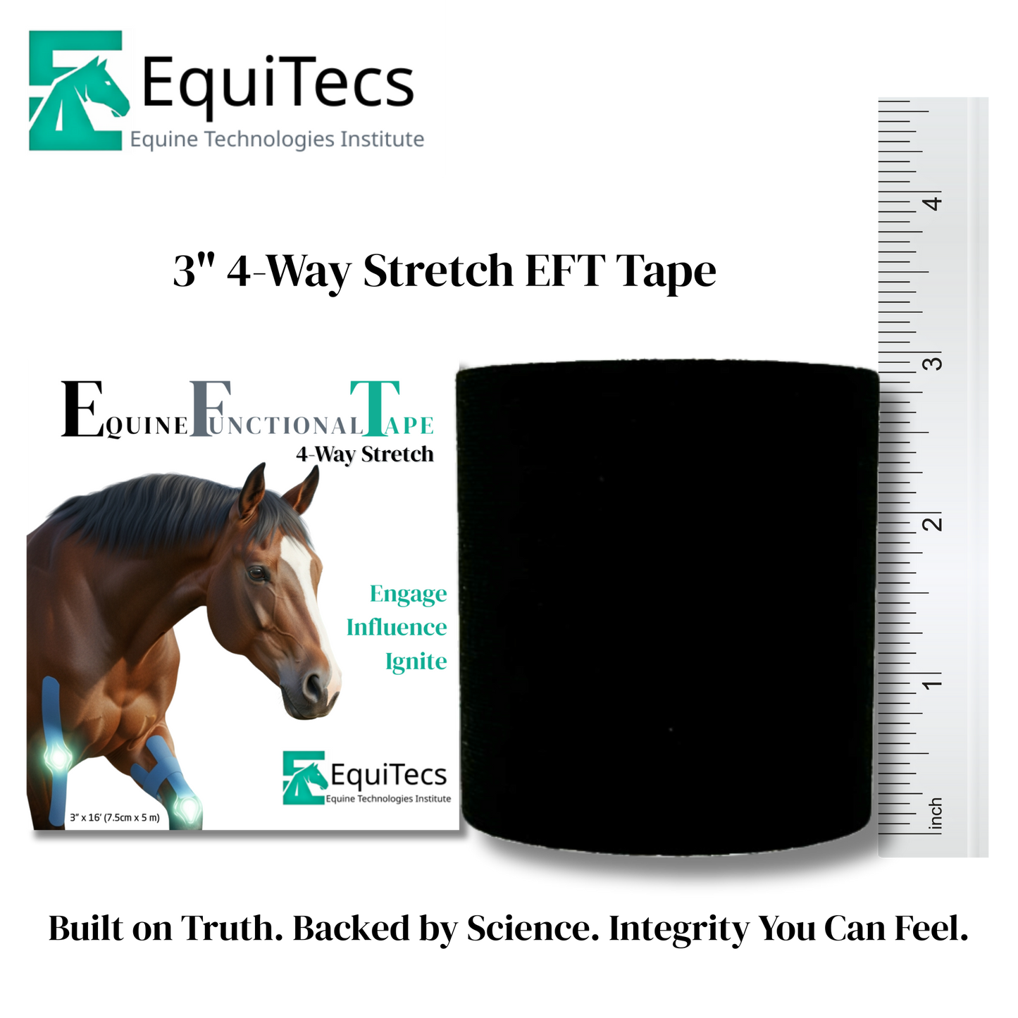 Horse 4-Way Functional Taping Tape — Biomechanic Support