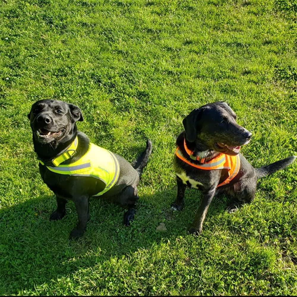 Lightweight Dog Vest Mid-Back Coverage 24 in Chest x 17 in Neck Orange