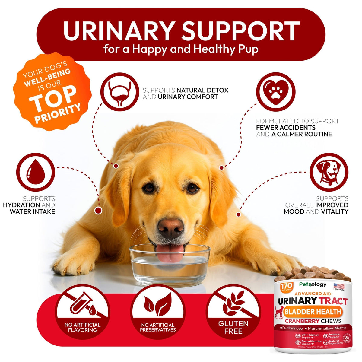 Dog UTI Treatment Cranberry Multivitamin Supplement
