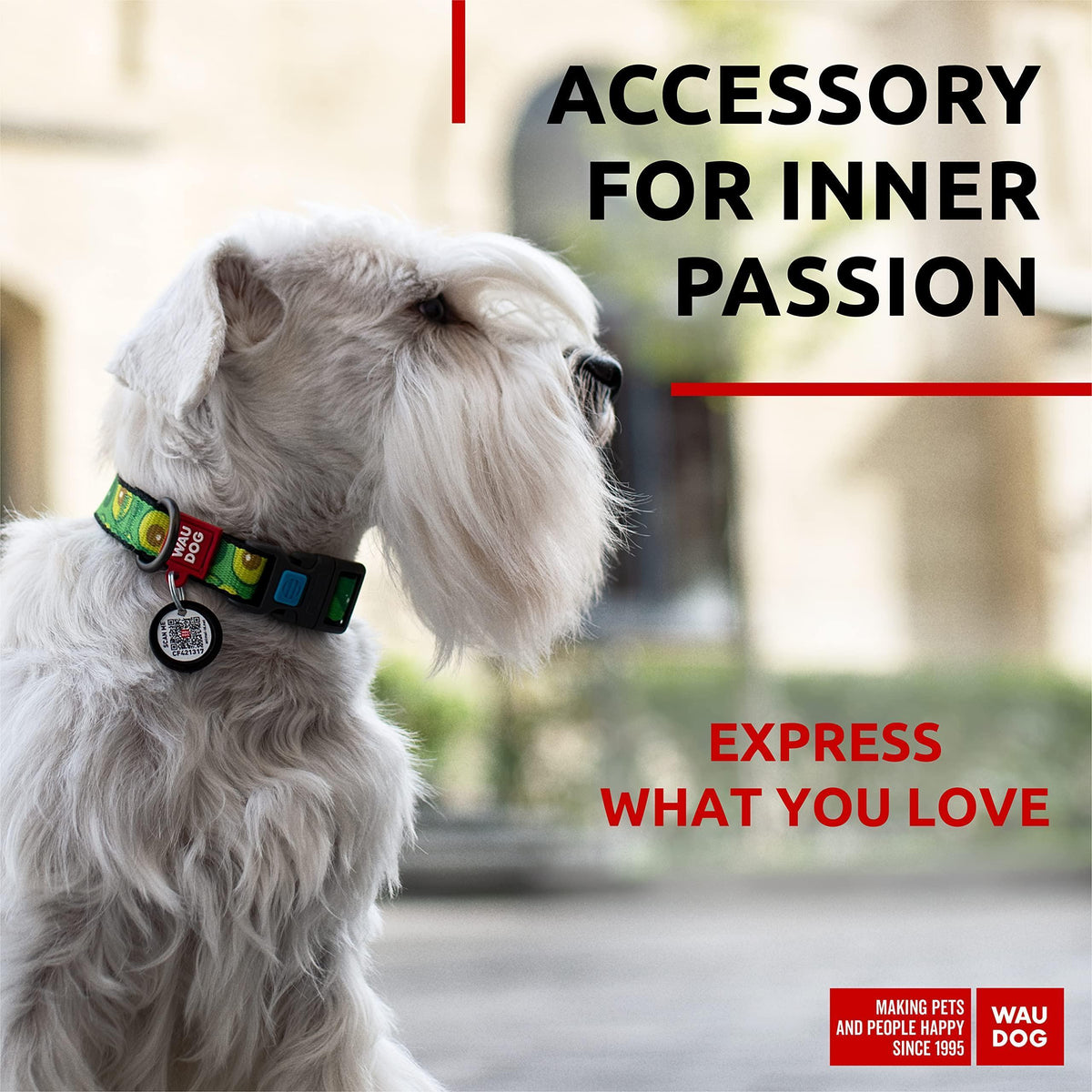 Nylon Dog Collar Adjustable All Sizes Breakaway Plastic Buckle & QR Tag Avocado