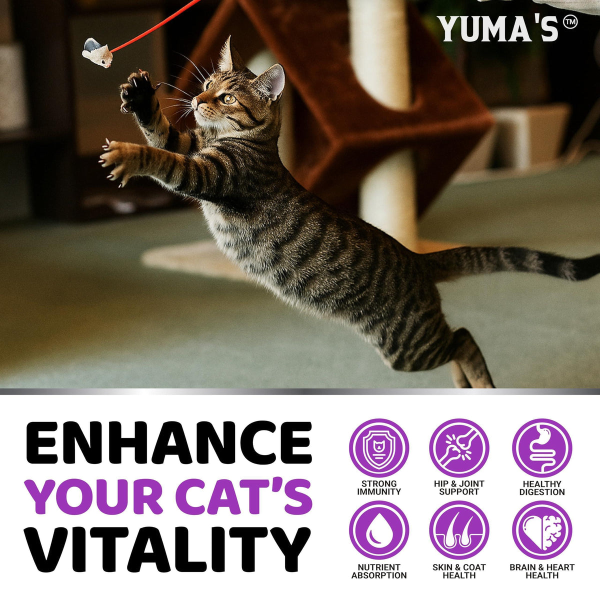 Cat Multivitamin Chews Hip & Joint Immune Skin & Digestion Support