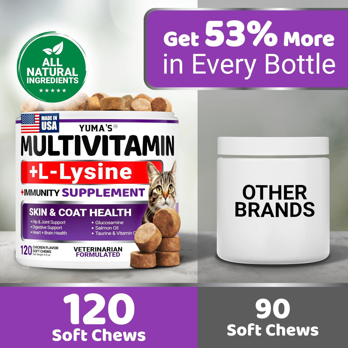 Cat Multivitamin Chews Hip & Joint Immune Skin & Digestion Support