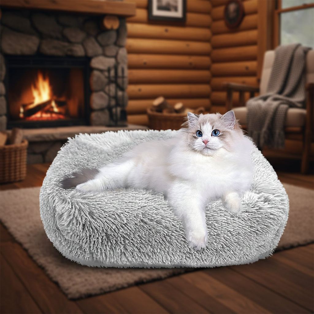 Cat Bed for Indoor Cats and small dogs
