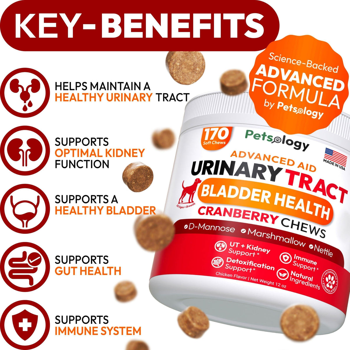 Dog UTI Treatment Cranberry Multivitamin Supplement