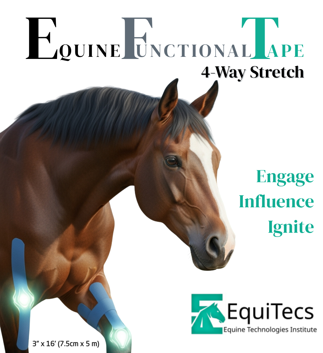Horse 4-Way Functional Taping Tape — Biomechanic Support