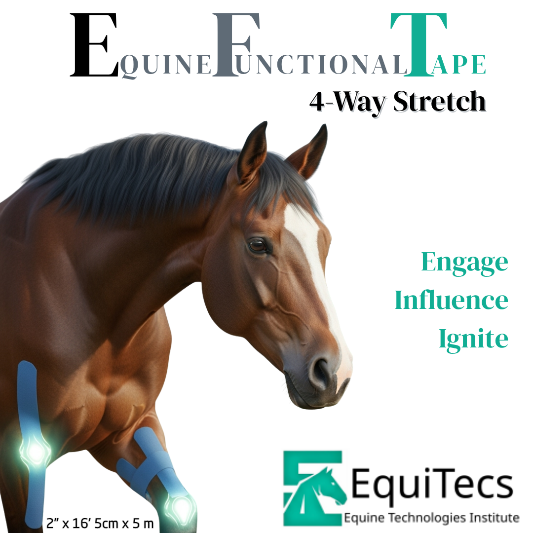 Horse 4-Way Functional Taping Tape — Biomechanic Support