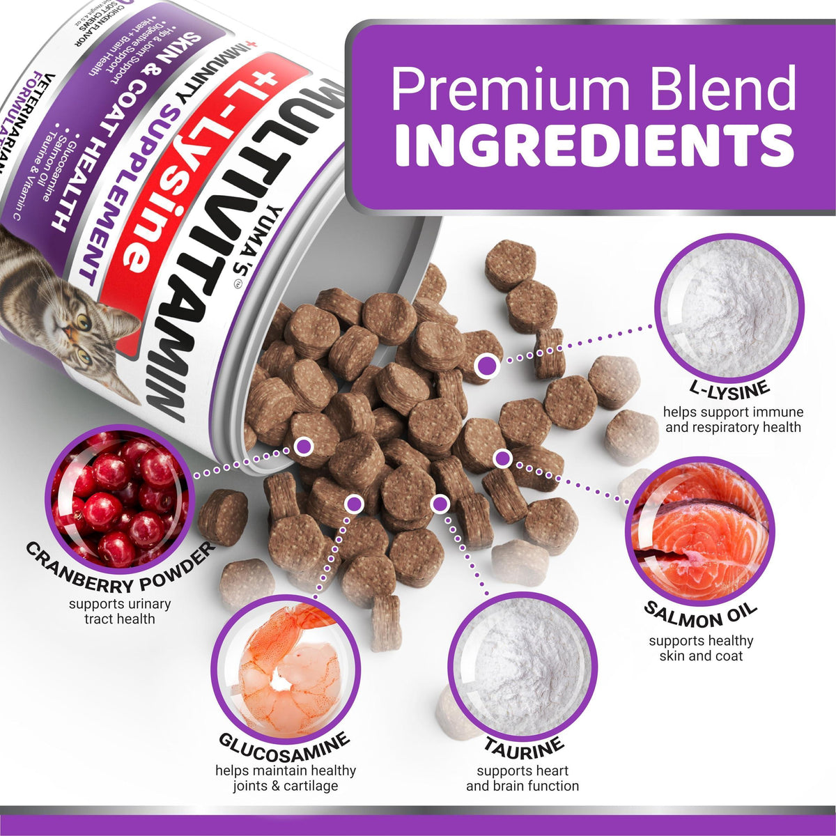 Cat Multivitamin Chews Hip & Joint Immune Skin & Digestion Support