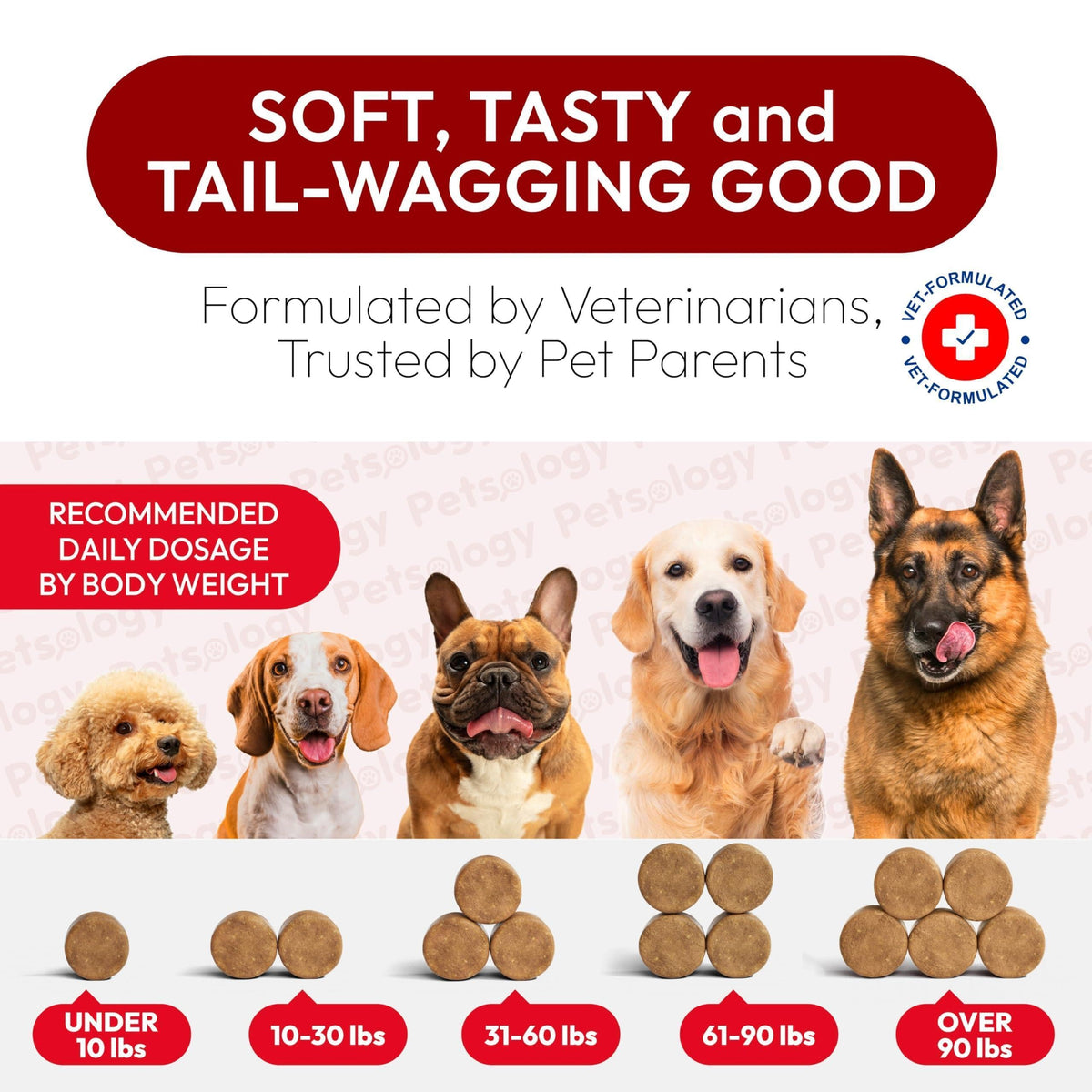 Dog UTI Treatment Cranberry Multivitamin Supplement