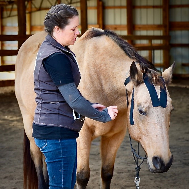 Horse 4-Way Functional Taping Tape — Biomechanic Support