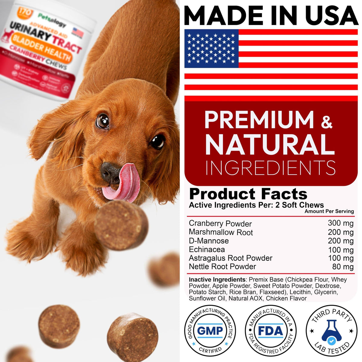 Dog UTI Treatment Cranberry Multivitamin Supplement