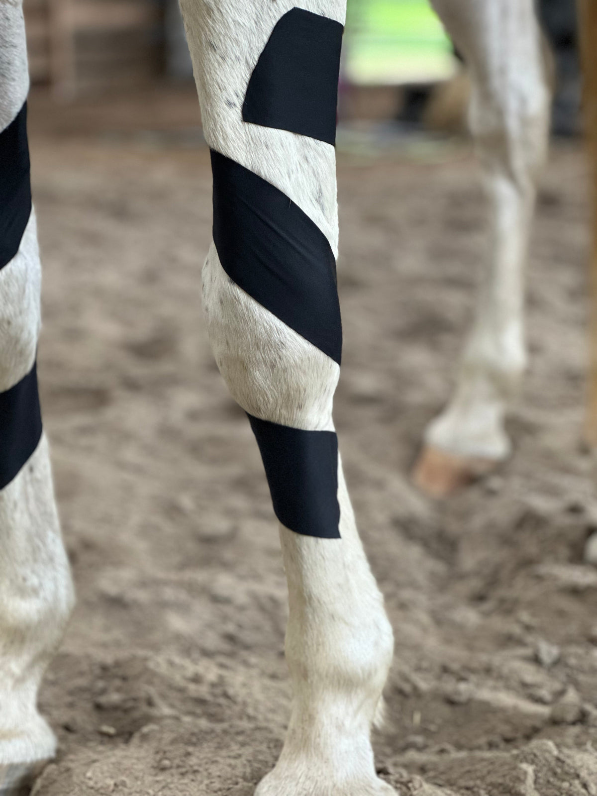 Horse 4-Way Functional Taping Tape — Biomechanic Support