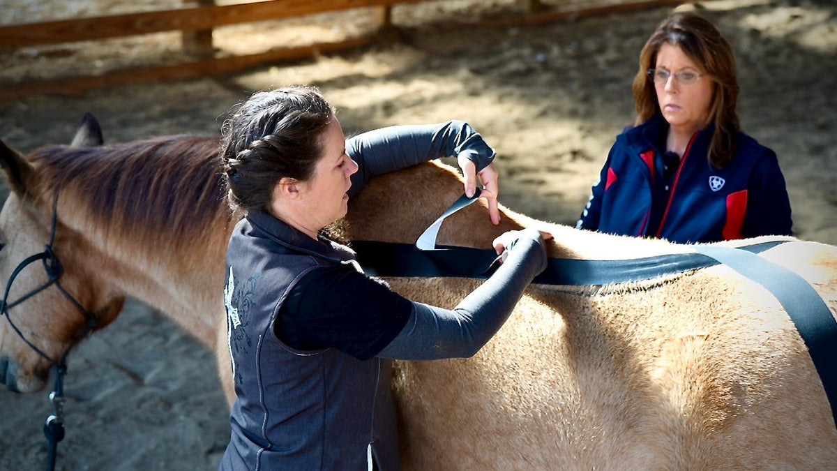 Horse 4-Way Functional Taping Tape — Biomechanic Support