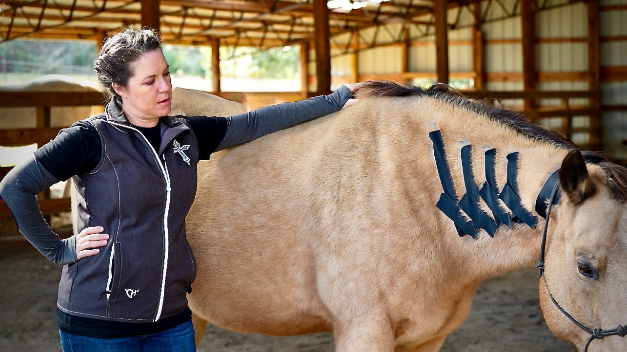 Horse 4-Way Functional Taping Tape — Biomechanic Support