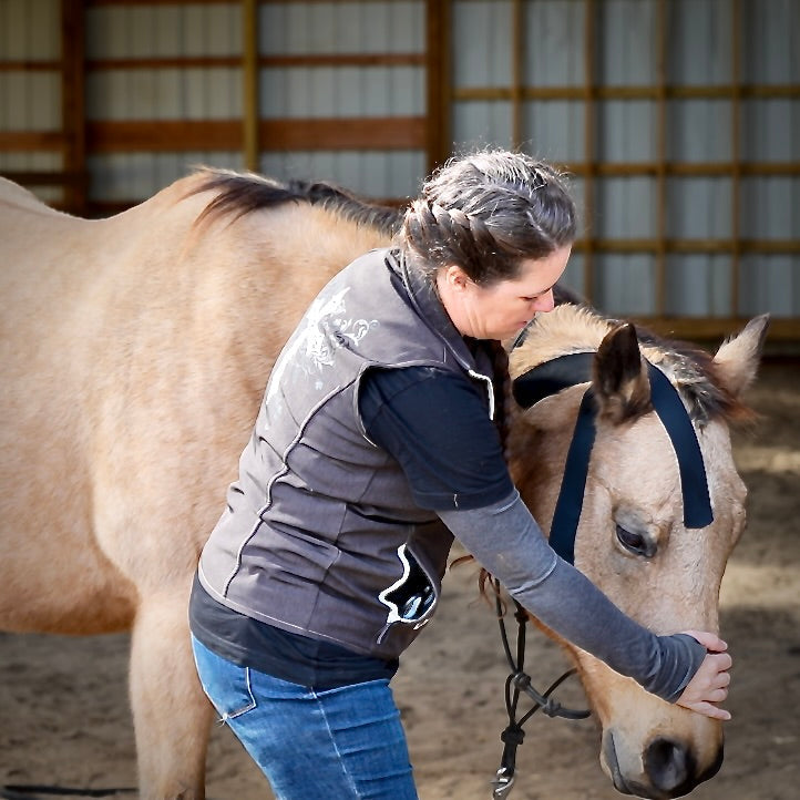 Horse 4-Way Functional Taping Tape — Biomechanic Support