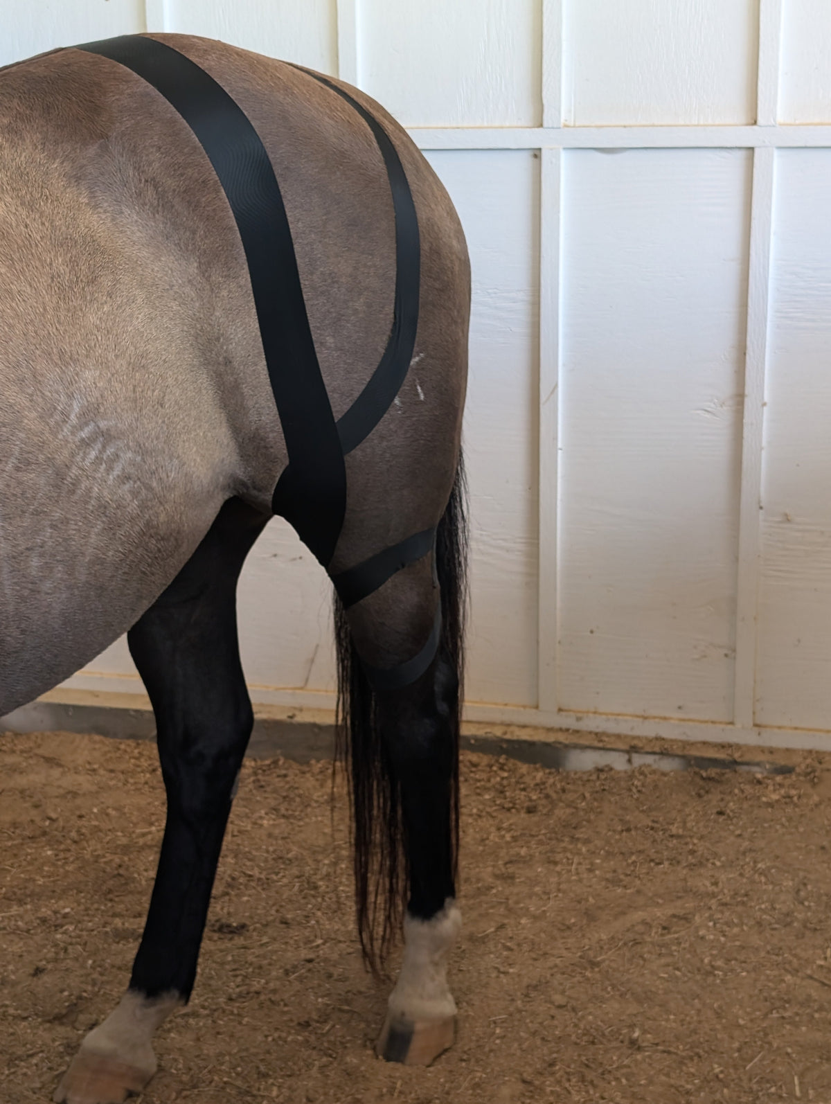 Horse 4-Way Functional Taping Tape — Biomechanic Support