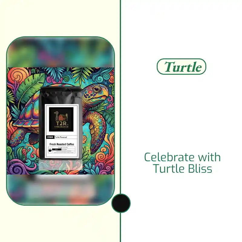 Turtle by@Outfy
