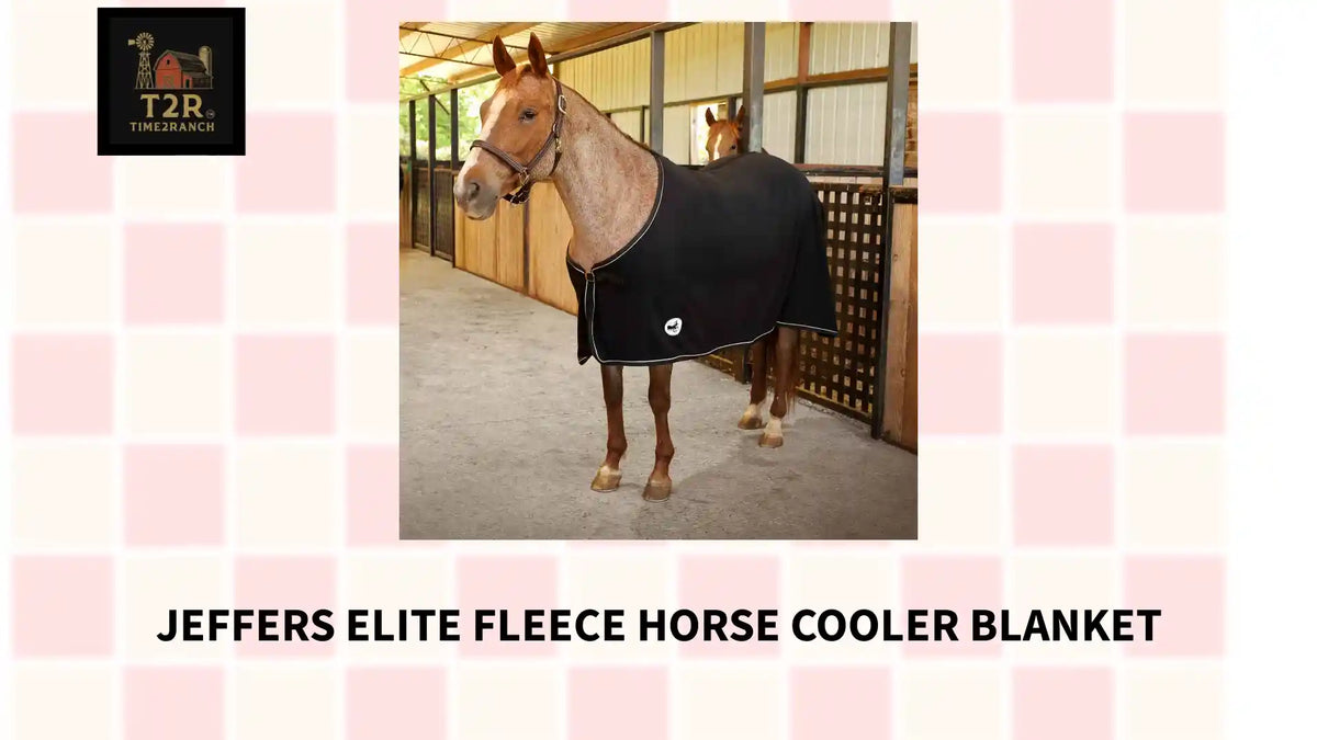 Jeffers Elite Fleece Horse Cooler Blanket by@Outfy