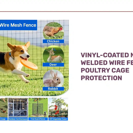 Vinyl-Coated Metal Welded Wire Fence for Poultry Cage Protection by@Outfy