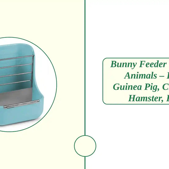Bunny Feeder for Small Animals &ndash; Rabbit, Guinea Pig, Chinchilla, Hamster, Ferret by@Outfy