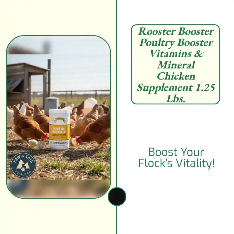 Rooster Booster Poultry Booster Vitamins & Mineral Chicken Supplement 1.25 lbs. by@Outfy