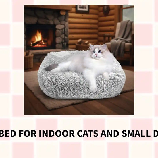Cat Bed for Indoor Cats and small dogs by@Outfy