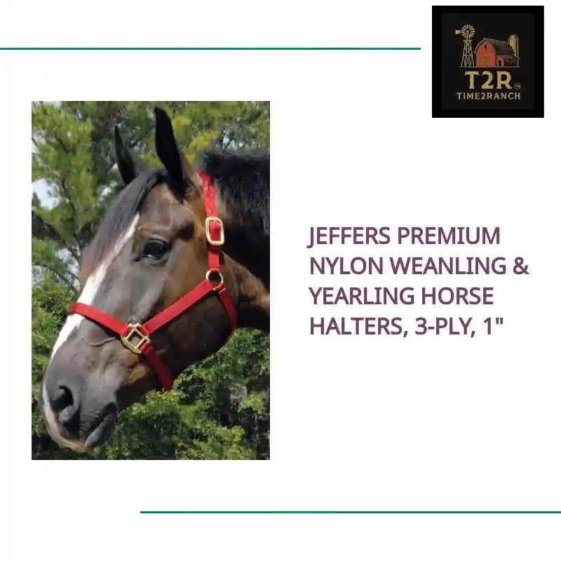 Jeffers Premium Nylon Weanling &amp; Yearling Horse Halters, 3-Ply, 1" by@Outfy