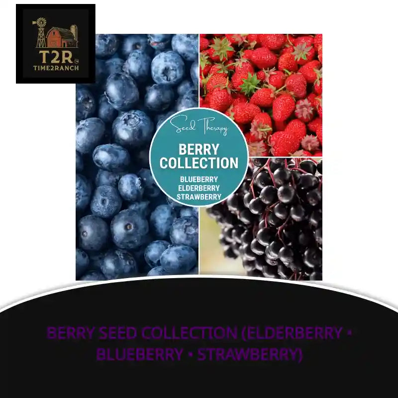 Berry Seed Collection (Elderberry &bull; Blueberry &bull; Strawberry) by@Outfy